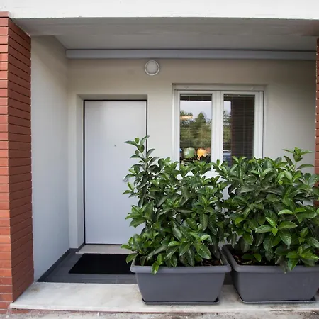 Excelsior - Via Pertini * Piombino